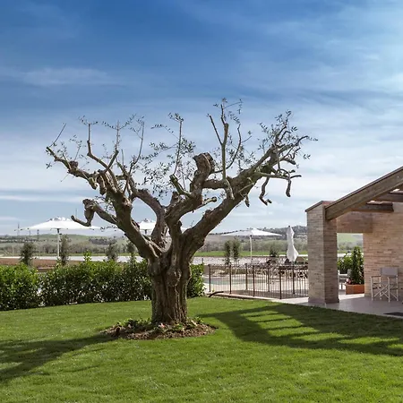 Luxury - Spa, Pool & Jacuzzi-wedding