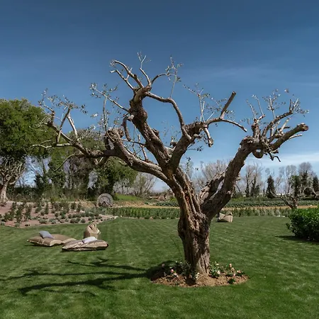 Apartamento Luxury - Spa, Pool & Jacuzzi-wedding Civitanova Marche