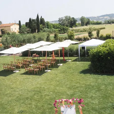 Luxury - Spa, Pool & Jacuzzi-wedding *